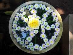 201302 Chiang Mai57